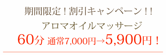 割引キャンペーン